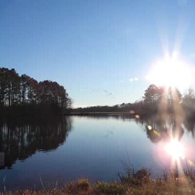 Joe Wheeler State Park