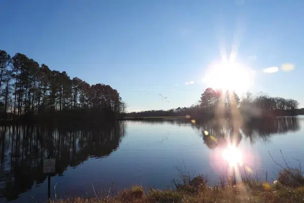 Joe Wheeler State Park