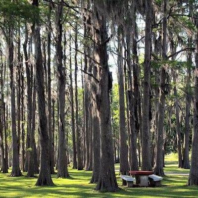 Lake Jackson RV Park at Florala