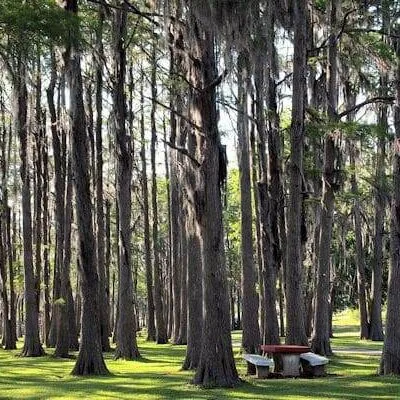 Lake Jackson RV Park at Florala