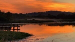 Ebenezer Swamp Ecological Preserve