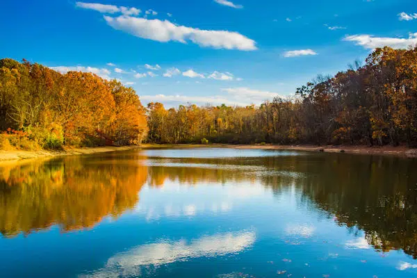 fall foliage reflected in a lake at a state park near gettysburg pennsylvania