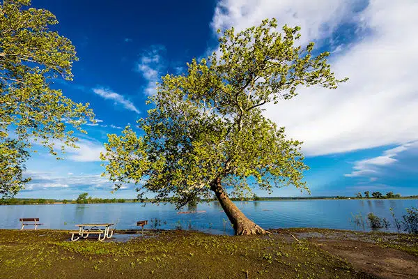 campsite by a river in a state park near kansas city missouri