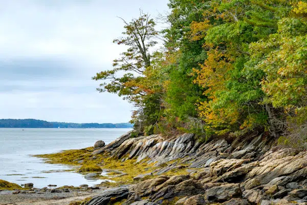 fall foliage on coastline in a state park near portland maine