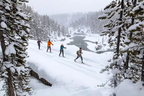x-country skiing at aroostook state park in maine