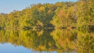Bear Creek Lake State Park
