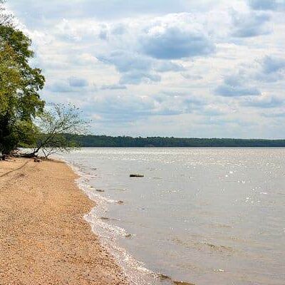 Wye Oak State Park