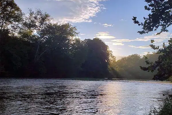 Clinch River State Park
