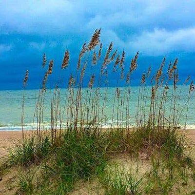 Edisto Beach State Park