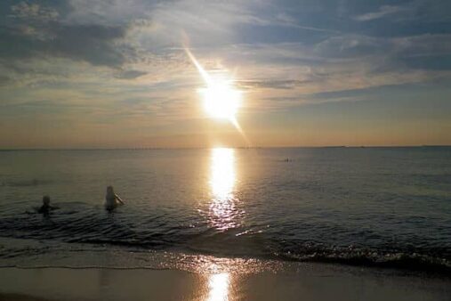 First Landing State Park