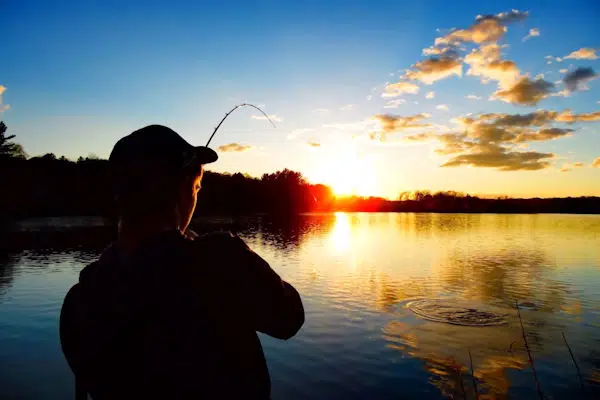 fishing for walleye at clinch river in virginia