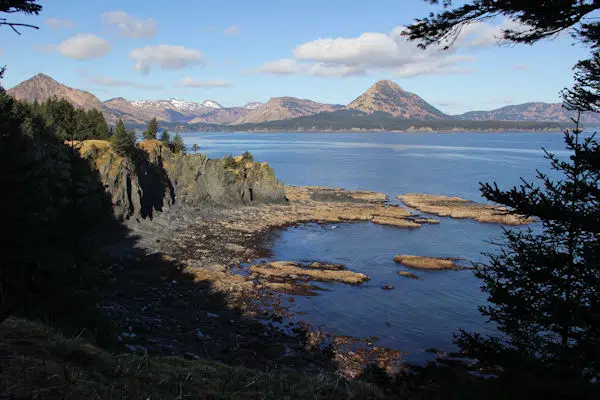 view of mountains and lakes through trees at a state park in alaska