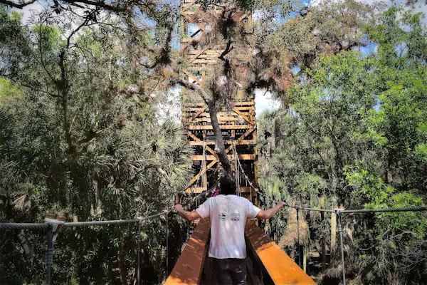 hiker on a suspension bridge in a state park in Florida