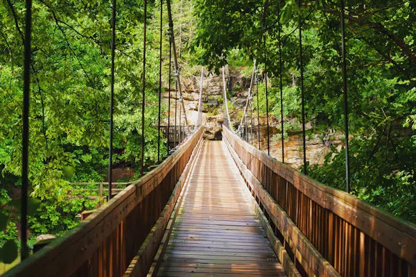 suspension bridge through a forest in a state park in indiana