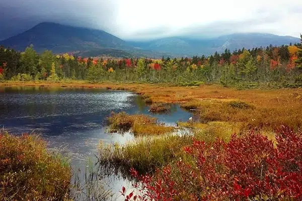 colorful foliage around a pond at a state park in maine