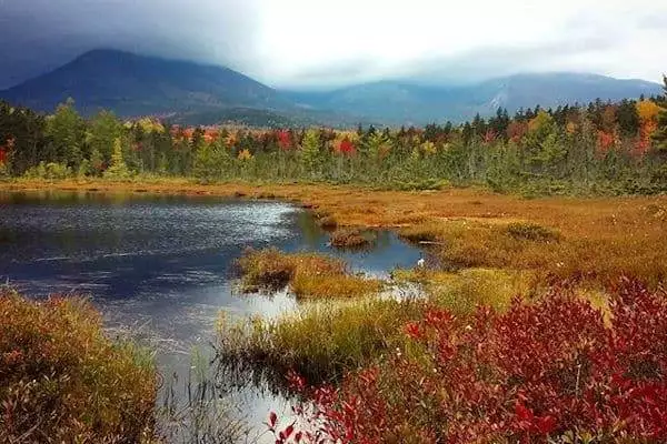 colorful foliage around a pond at a state park in maine