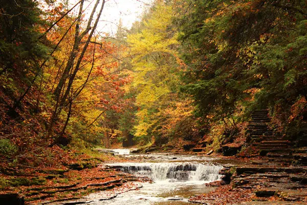 fall foliage around a waterfall in a state park in new york