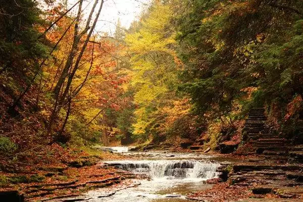 fall foliage around a waterfall in a state park in new york
