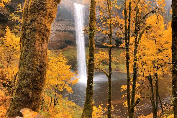 a waterfall peeks through fall leaves at a state park in oregon