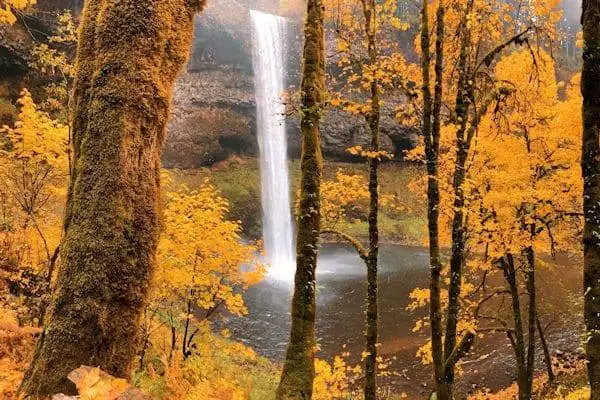 a waterfall peeks through fall leaves at a state park in oregon