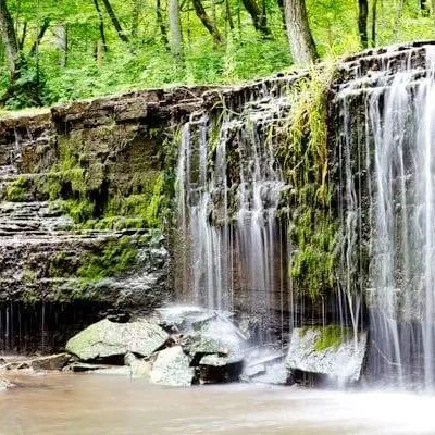 Nerstrand Big Woods State Park