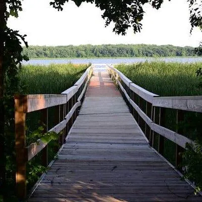 Rice Lake State Park