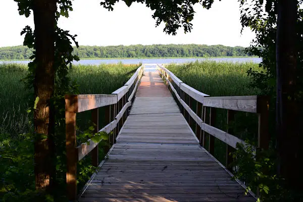 Walkway leading to the lake at a state park near rochester mn