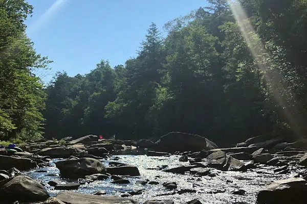 sun shining on a rocky stream in a state park in west virginia