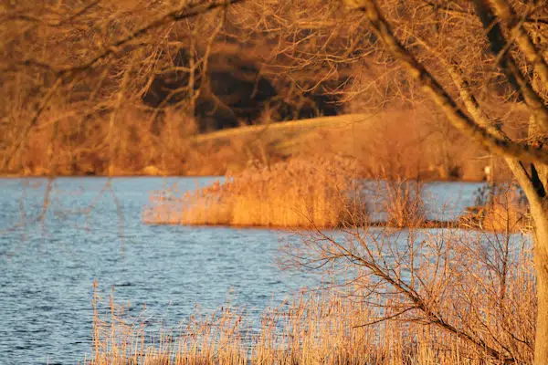 creek and marsh at a state park near philadelphia pennsylvania