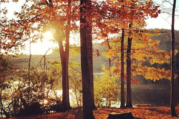 sun behind autumn trees by a lake in a state park near roanoke virginia