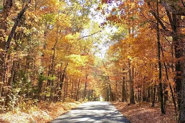 colorful trees in a state park near murfreesboro tennessee