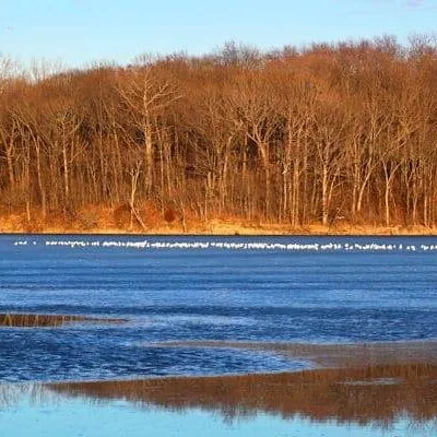 Clinton Lake State Recreation Area
