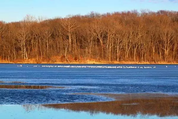 sun lighting the shore at a state park near champaign illinois