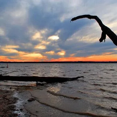 Mason Neck State Park