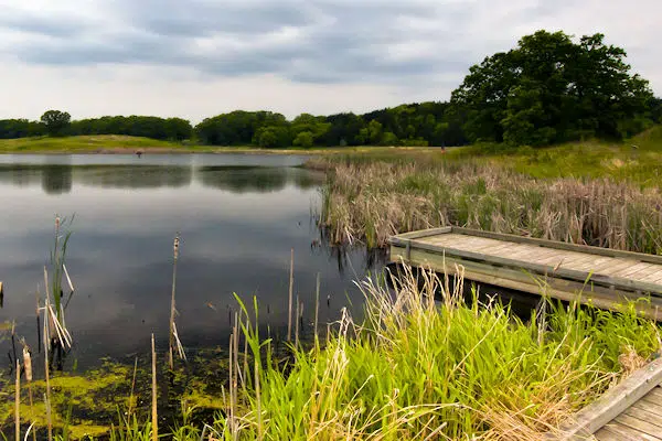 dock on a pond at a state park near nisswa minnesota