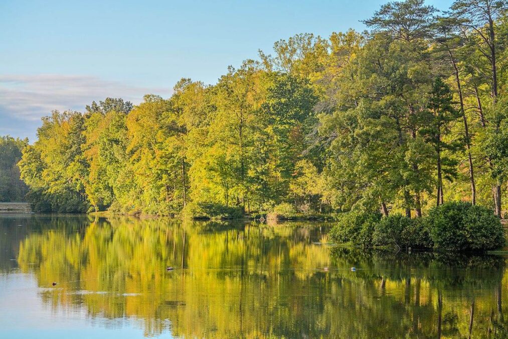 A State Park lake surrounded by trees.