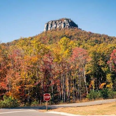 Pilot Mountain State Park