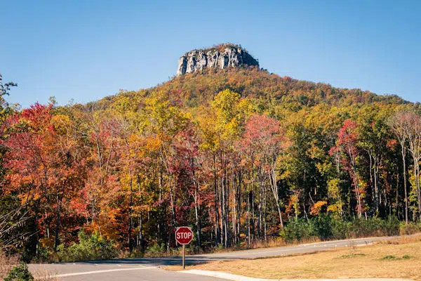 fall foliage on a mountain in a state park near bryson city north carolina