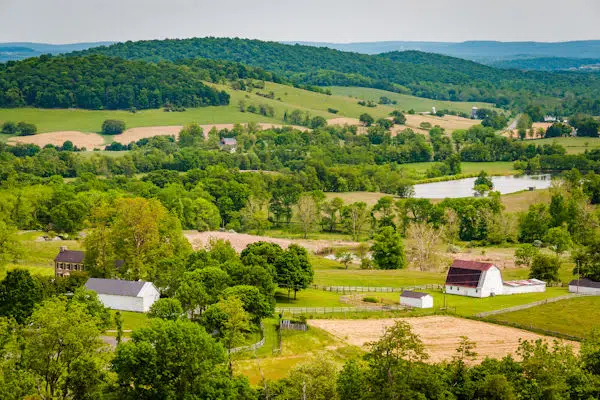 view of farms from hills in a state park near harrisonburg virginia
