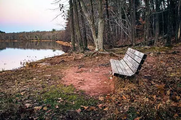 bench beside the water in a state park near carlisle pa