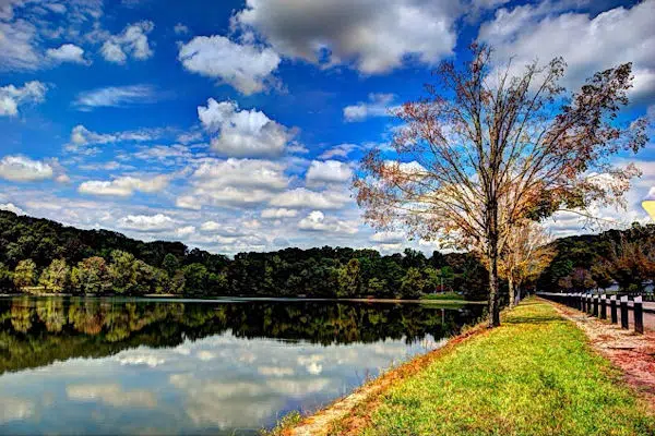 clouds reflected on a lake in a state park near bristol tennessee