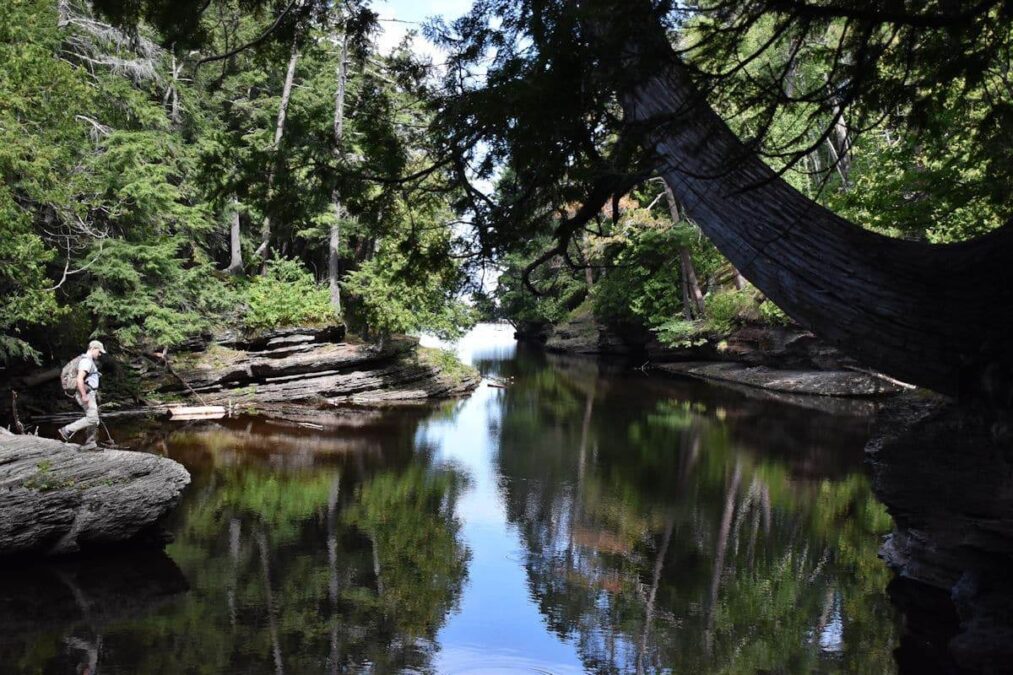hiker near trees reflected on the water in a state park near frankenmuth michigan