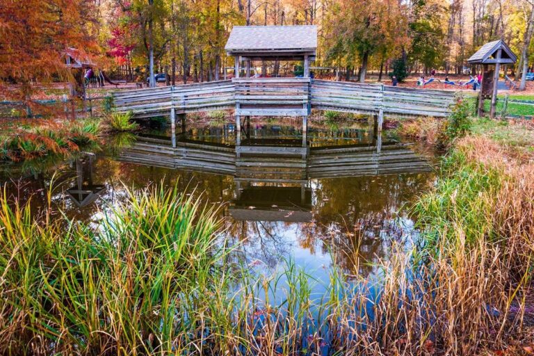 State Parks Near Fredericksburg, VA America's State Parks