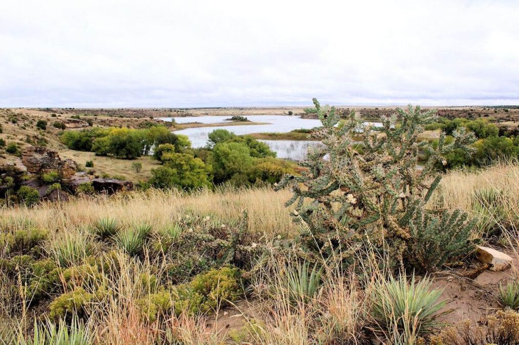 winding lake at black mesa state park in oklahoma