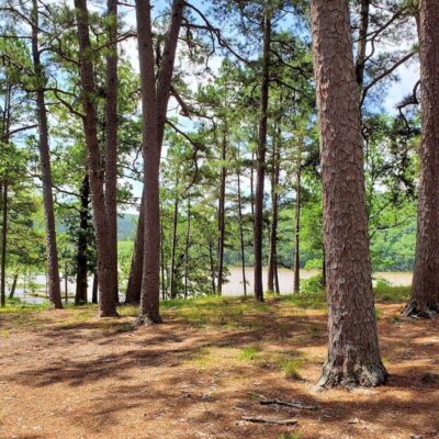 Clayton Lake State Park
