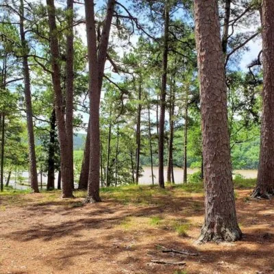Clayton Lake State Park