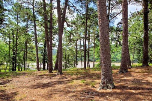 Clayton Lake State Park