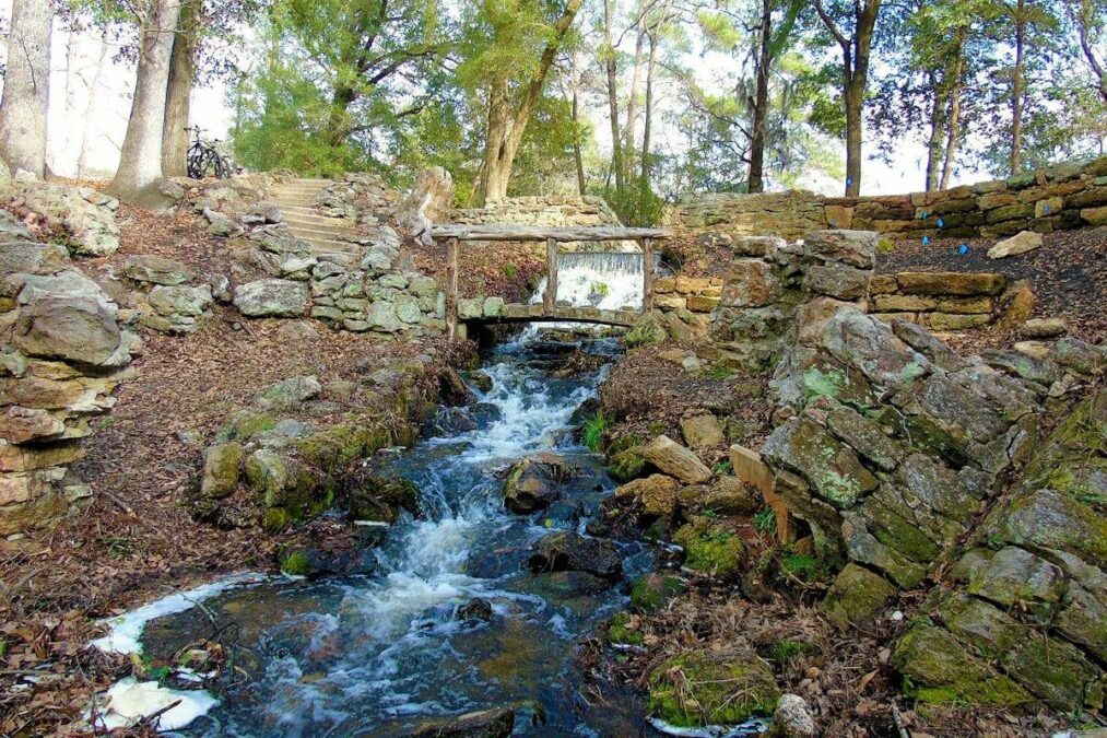 small waterfall in a stream at a state park near florence south carolina