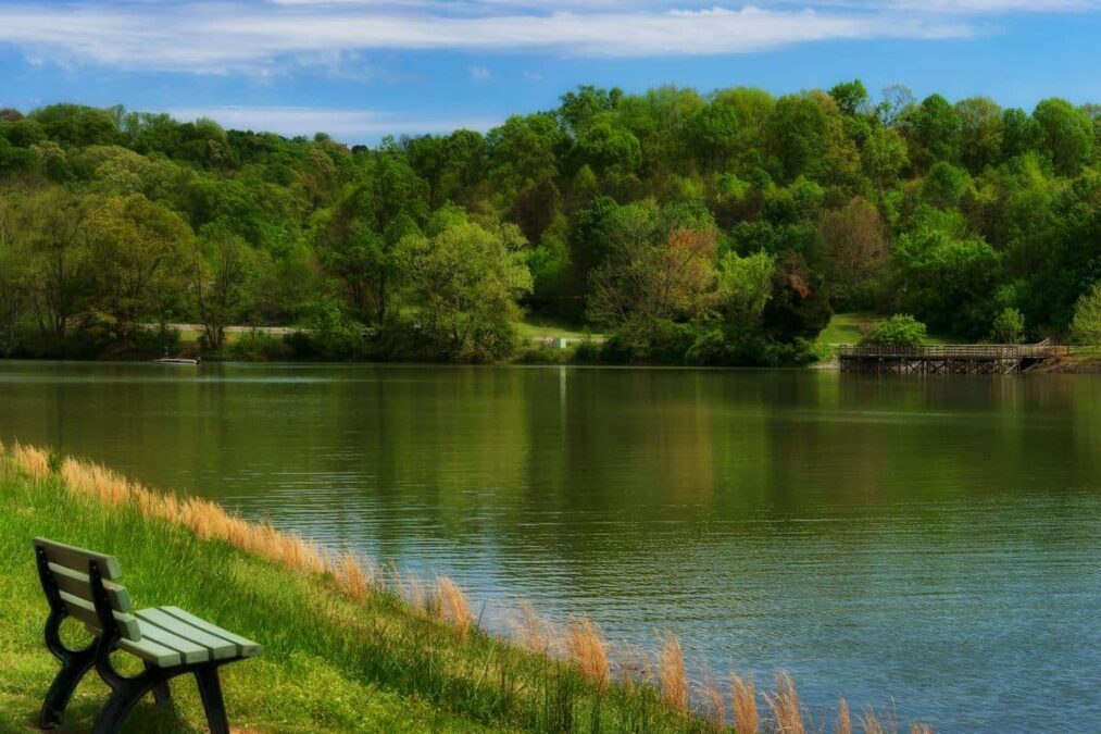 bench overlooking the water in a state park near johnson city tennessee