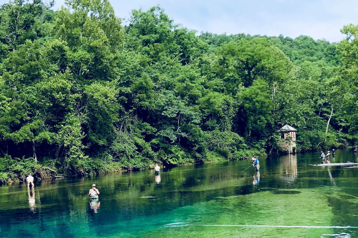 fishermen wading in a stream through a state park near joplin missouri